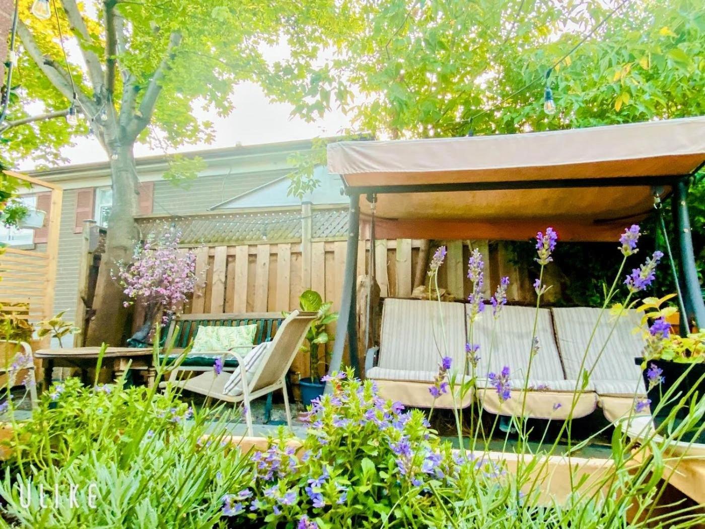 Toronto Bed & Breakfast - Free Parking Εξωτερικό φωτογραφία