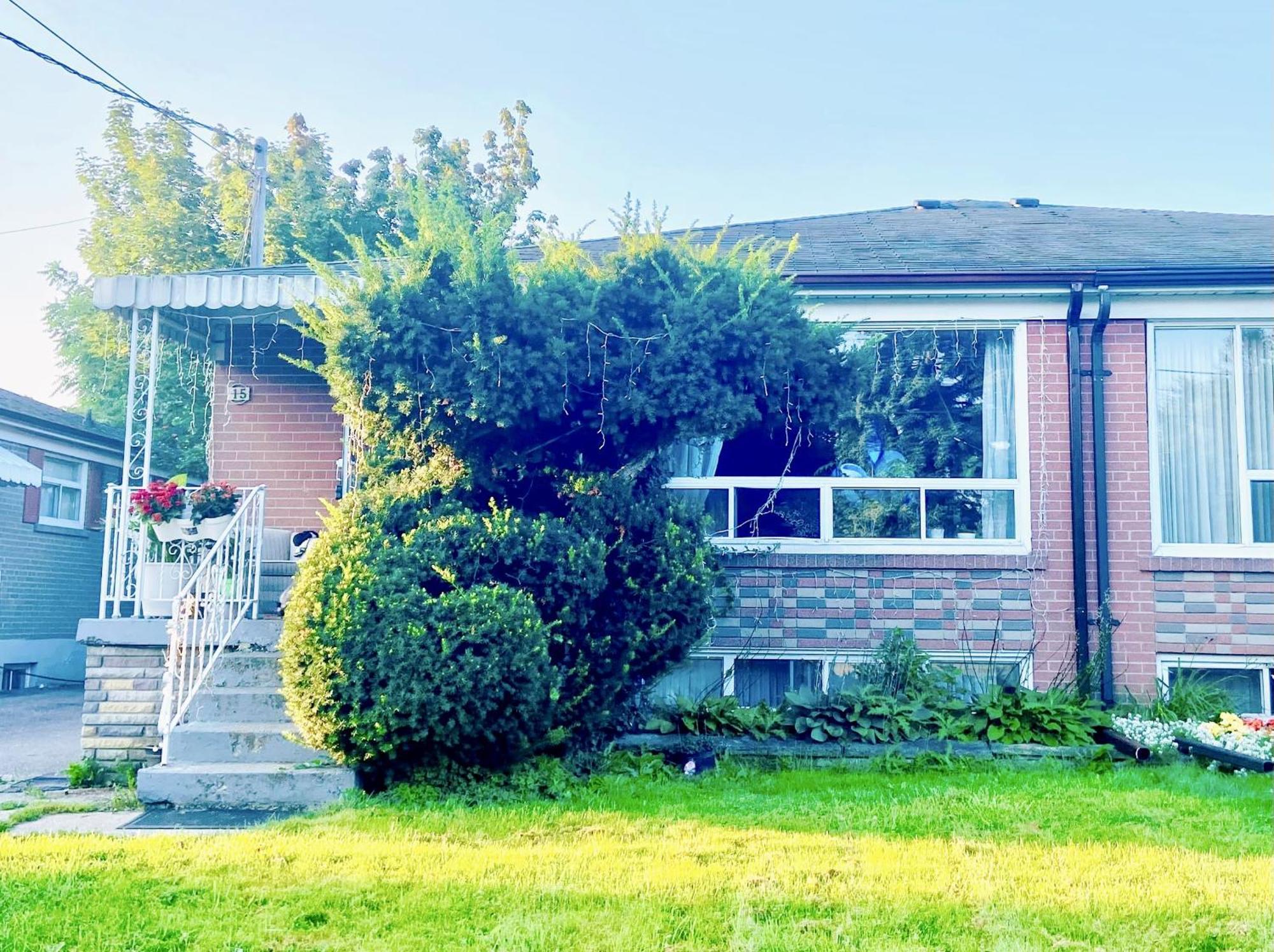 Toronto Bed & Breakfast - Free Parking Εξωτερικό φωτογραφία